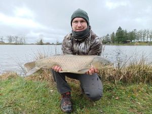 Grass Carp