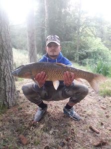 Silver Carp