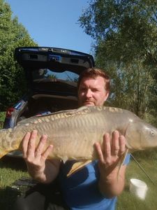 Mirror Carp