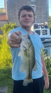 Largemouth Bass