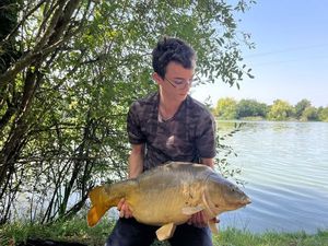 Mirror Carp