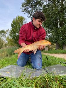 Koï Fish
