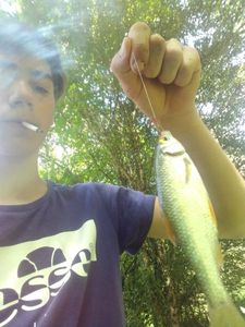 Roach