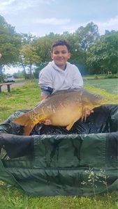 Mirror Carp