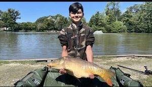 Common Carp