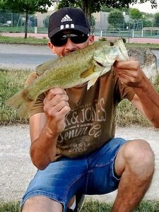Largemouth Bass