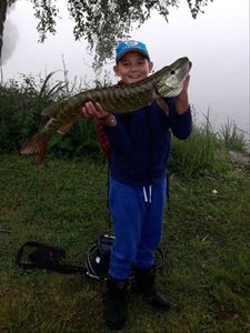 Northern Pike
