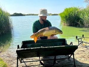 Mirror Carp
