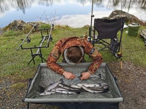 Rainbow Trout