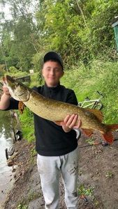 Northern Pike