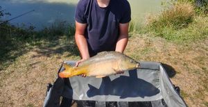 Leather Carp