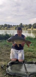 Mirror Carp