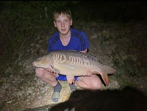 Mirror Carp