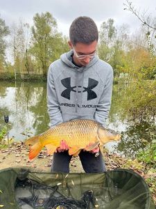 Common Carp