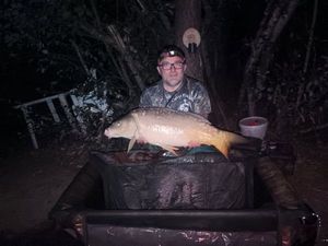 Mirror Carp