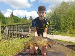 Common Carp