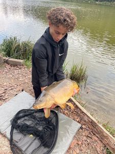 Mirror Carp