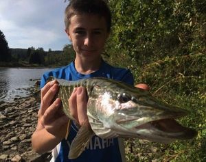 Northern Pike