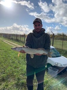 Northern Pike