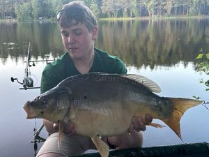 Mirror Carp