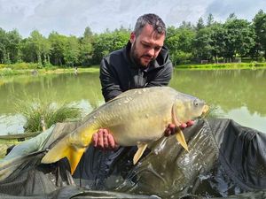 Mirror Carp
