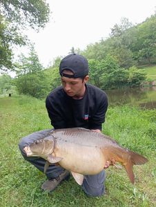 Mirror Carp