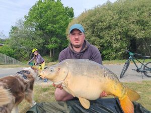 Mirror Carp