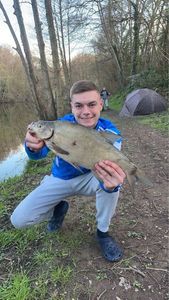 Common Bream