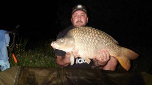 Common Carp