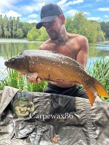 Leather Carp