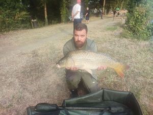Common Carp