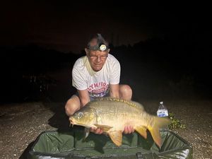 Mirror Carp