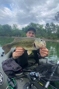 Largemouth Bass