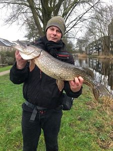 Northern Pike