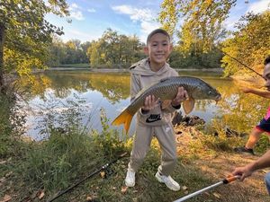 Common Carp