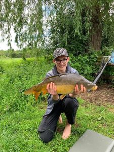 Mirror Carp