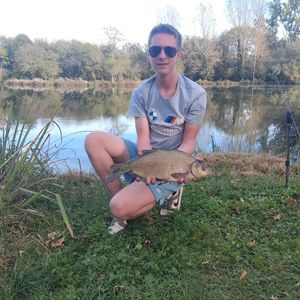 Common Bream