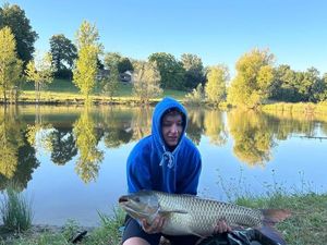 Grass Carp