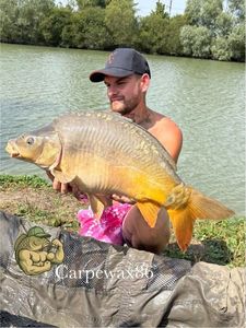 Leather Carp