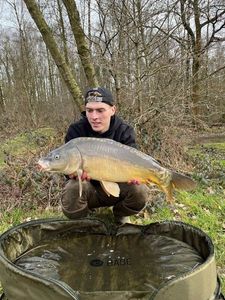 Mirror Carp