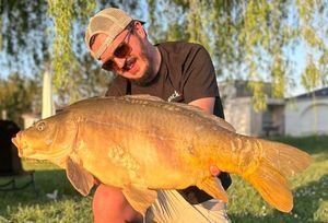Mirror Carp