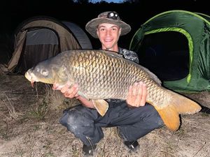 Common Carp