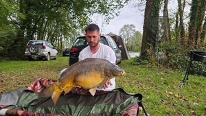 Mirror Carp