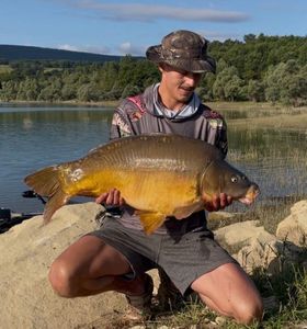 Mirror Carp