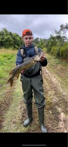 Northern Pike