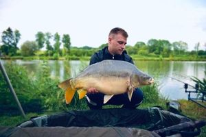 Mirror Carp