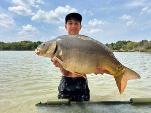 Mirror Carp