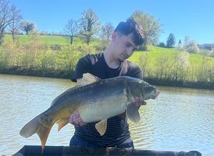 Mirror Carp
