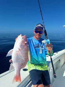 Red snapper