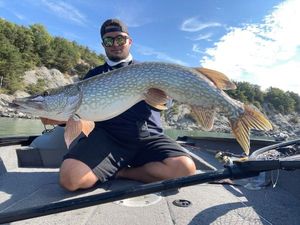Northern Pike